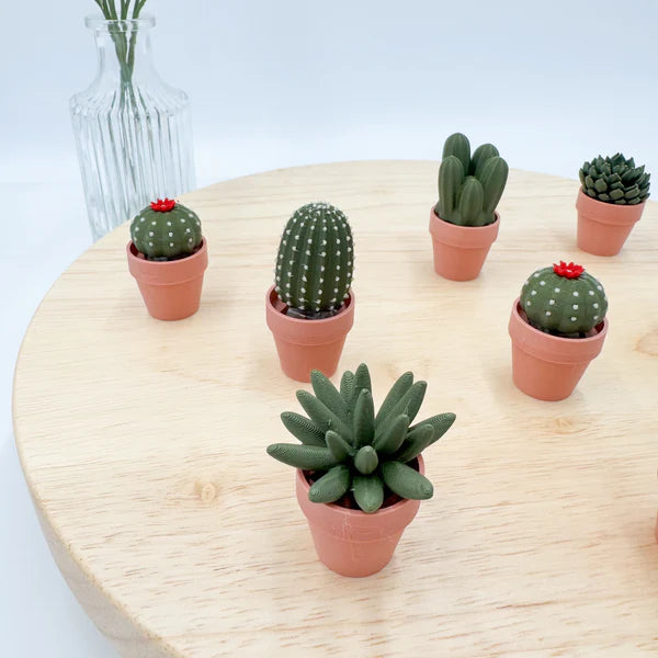 Pocket Plants - 3D Printed Mini Plant Decor Collectible