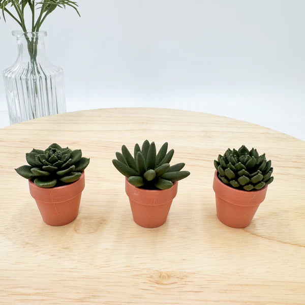 Pocket Plants - 3D Printed Mini Plant Decor Collectible