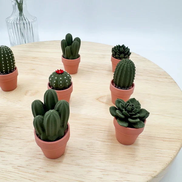 Pocket Plants - 3D Printed Mini Plant Decor Collectible