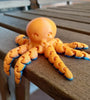 Cute Mini Octopus