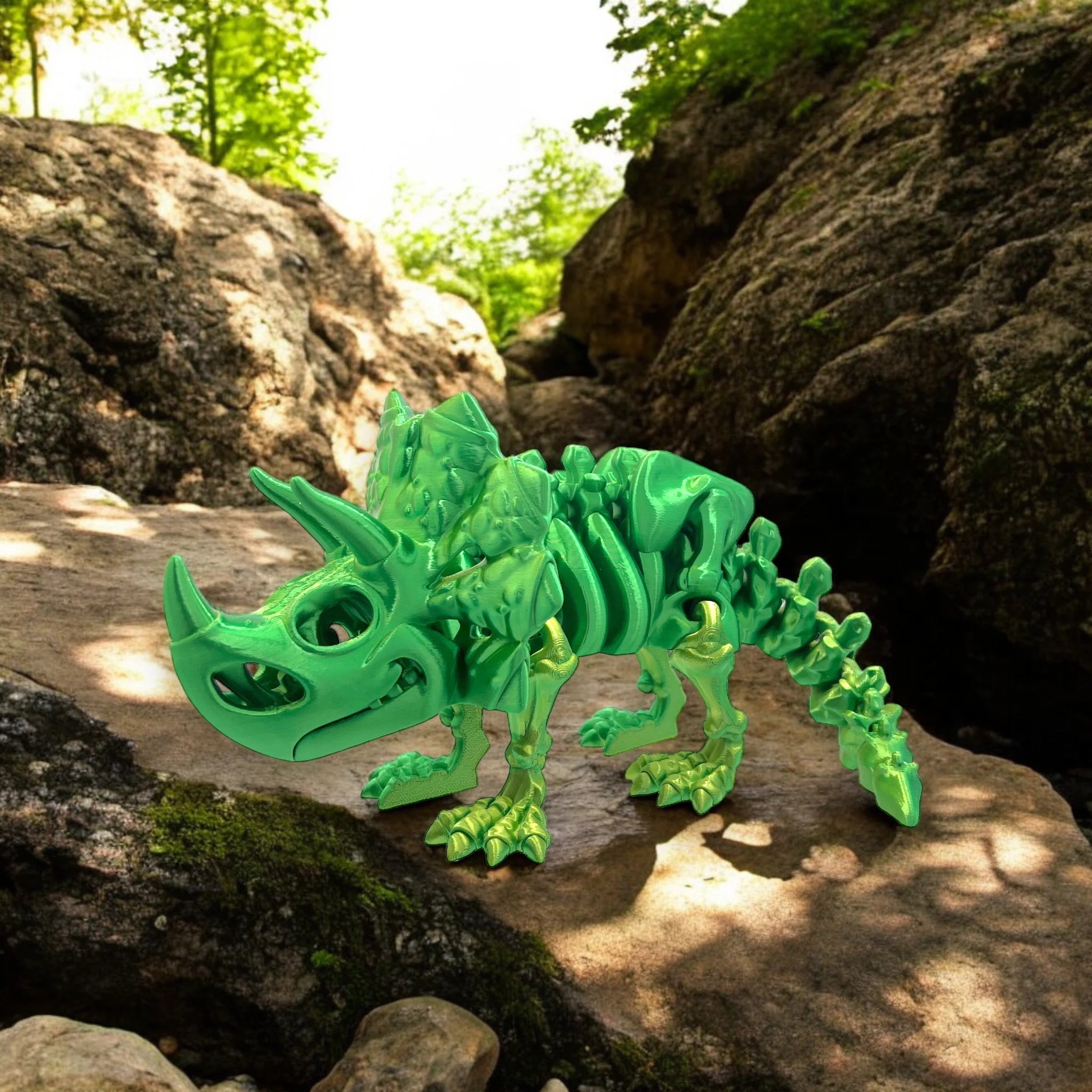 Triceratops: A Fossil