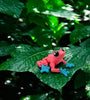 Poison Dart Frog: A Vibrant 3D-Printed