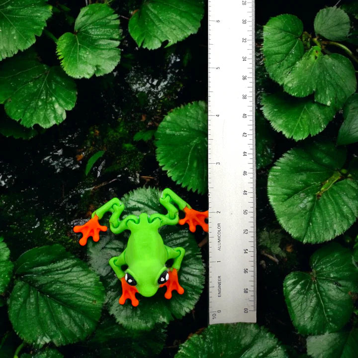 Poison Dart Frog: A Vibrant 3D-Printed