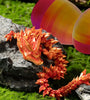 Dragon in Egg Crystal Flexible