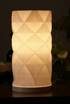 Geometric Faceted Lamp