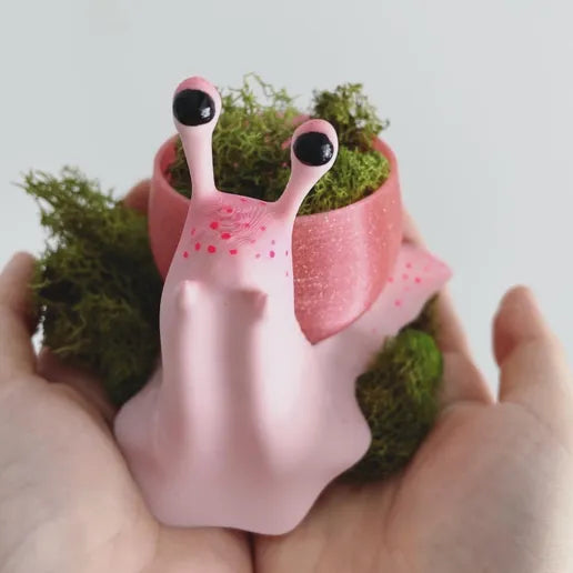 Pinky Snail Pot