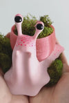 Pinky Snail Pot