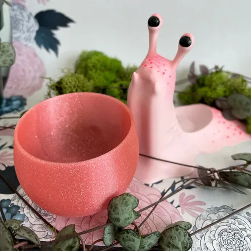 Pinky Snail Pot